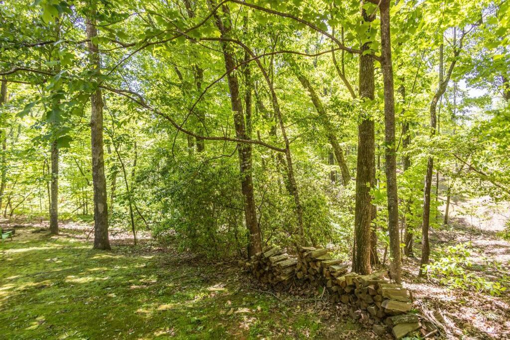 Pet Friendly Luxury Cabin Near Helen With Fire Pit Cleveland Esterno foto