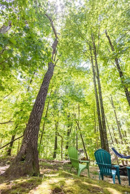 Pet Friendly Luxury Cabin Near Helen With Fire Pit Cleveland Esterno foto