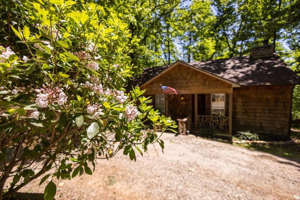 Pet Friendly Luxury Cabin Near Helen With Fire Pit Cleveland Esterno foto